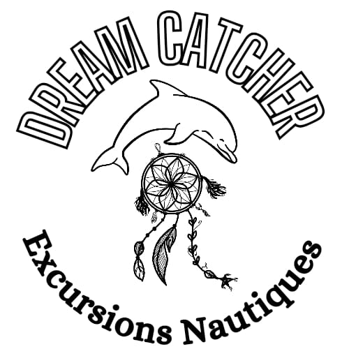 dreamcatcher-excursion-dauphins-peche-sportive-sortie-bateau-coucher-de-soleil-sainte-lucie-week-end-privatisation-martinique